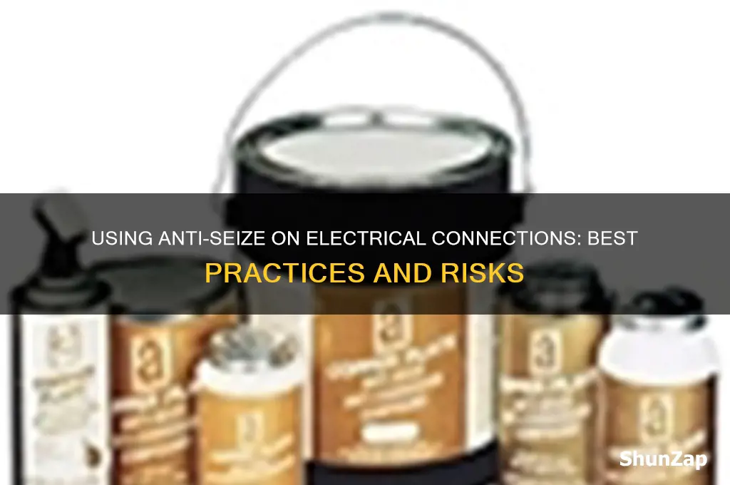 can you use anti seize on electrical connections