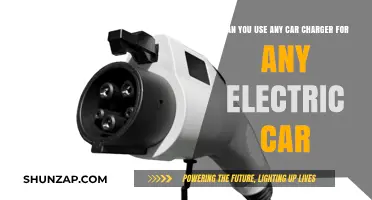 Universal EV Charging: Can Any Car Charger Work for Any Electric Vehicle?