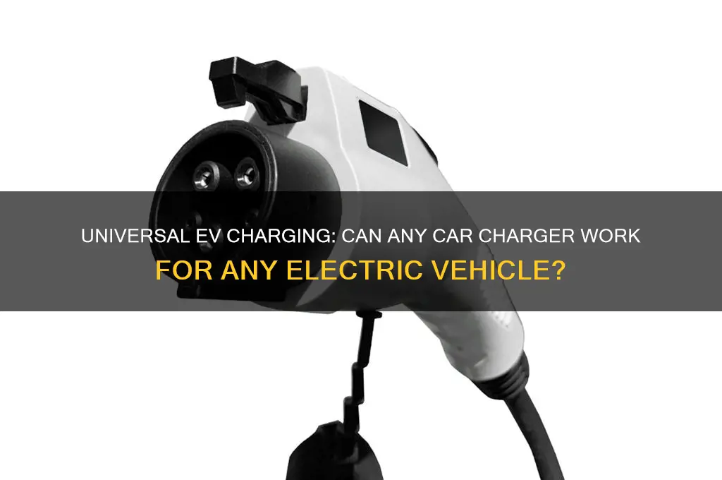 can you use any car charger for any electric car