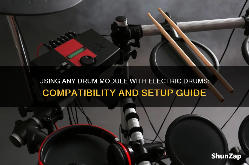 can you use any drum module with electric drums