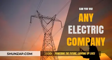 Choosing Your Electric Provider: Can You Switch to Any Company?