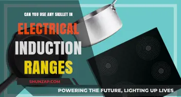 Induction Cooking: Which Skillets Work Best on Electric Ranges?