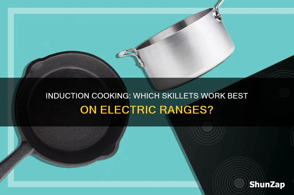 can you use any skillet in electrical induction ranges