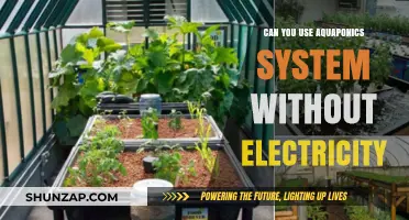 Aquaponics Without Electricity: Sustainable, Off-Grid Farming Solutions Explained