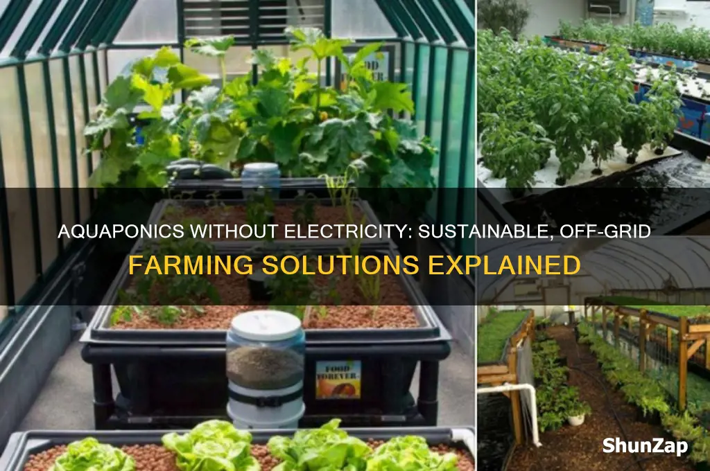 can you use aquaponics system without electricity