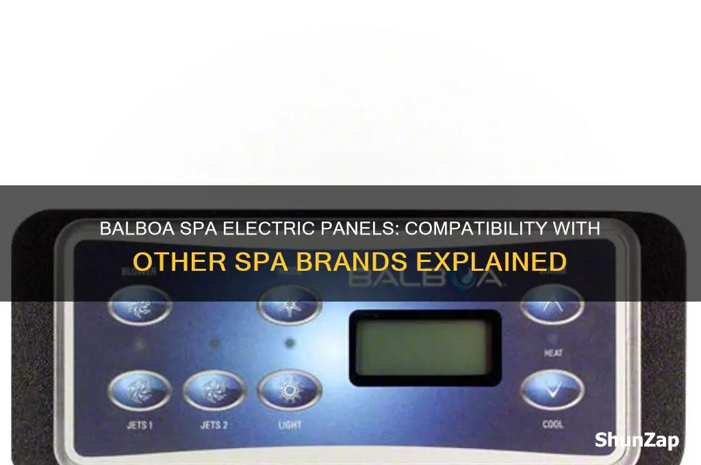 can you use balboa spa electric panels with other spas