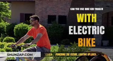 Electric Biking with Kids: Using Bike Trailers Safely and Effectively