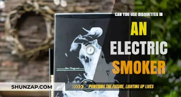 Using Bisquettes in Electric Smokers: Tips, Tricks, and Best Practices