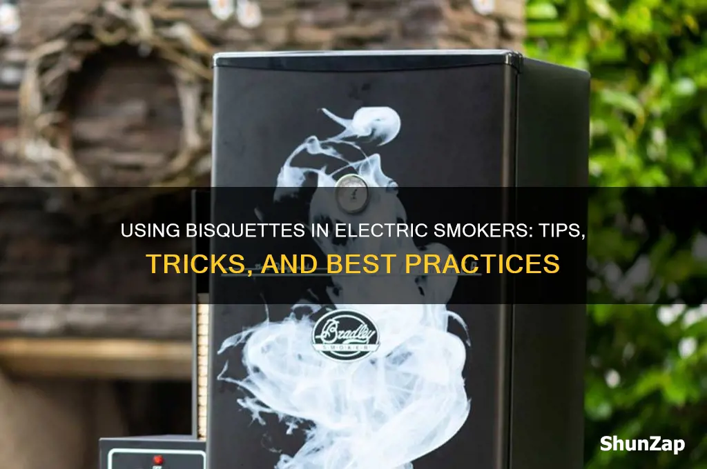 can you use bisquettes in an electric smoker