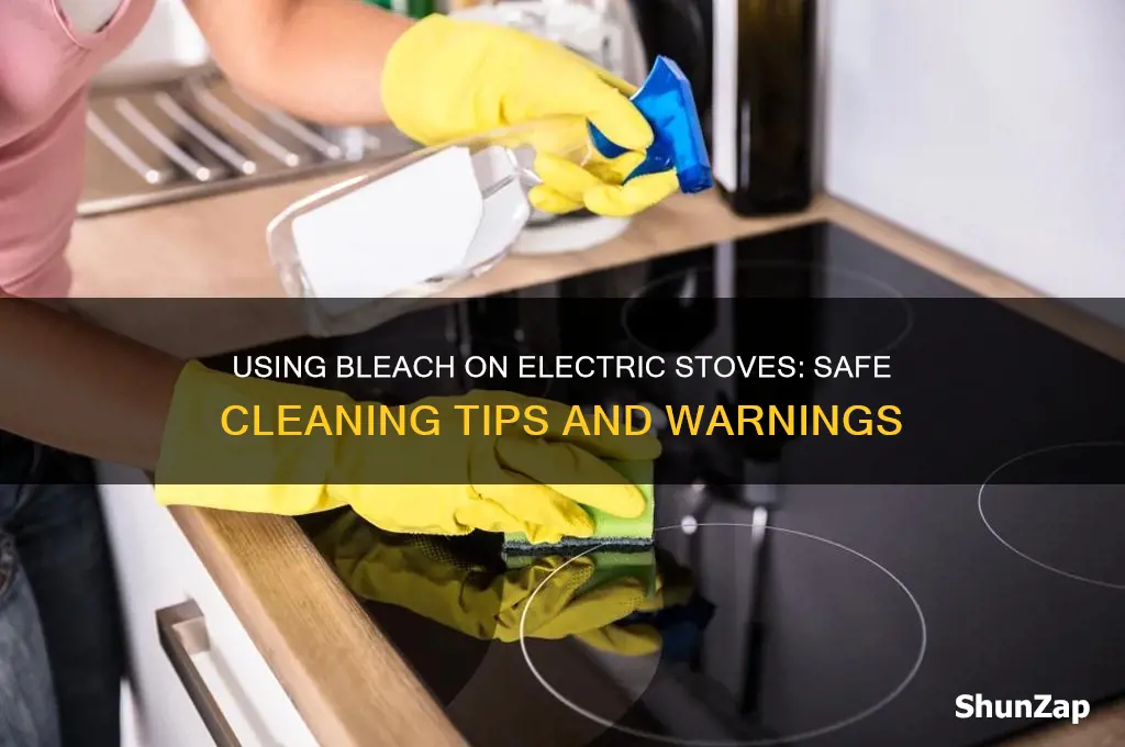 can you use bleach on electric stove
