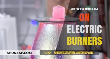 Using Burner Oils on Electric Burners: Safe or Risky Practice?