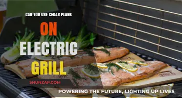 Cedar Plank Grilling on Electric Grills: Tips and Techniques