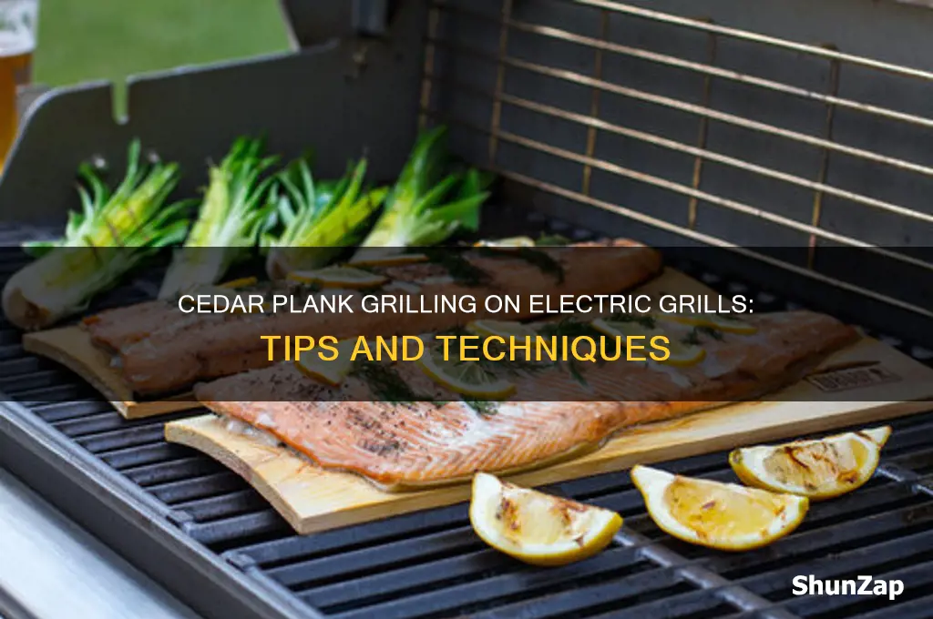 can you use cedar plank on electric grill