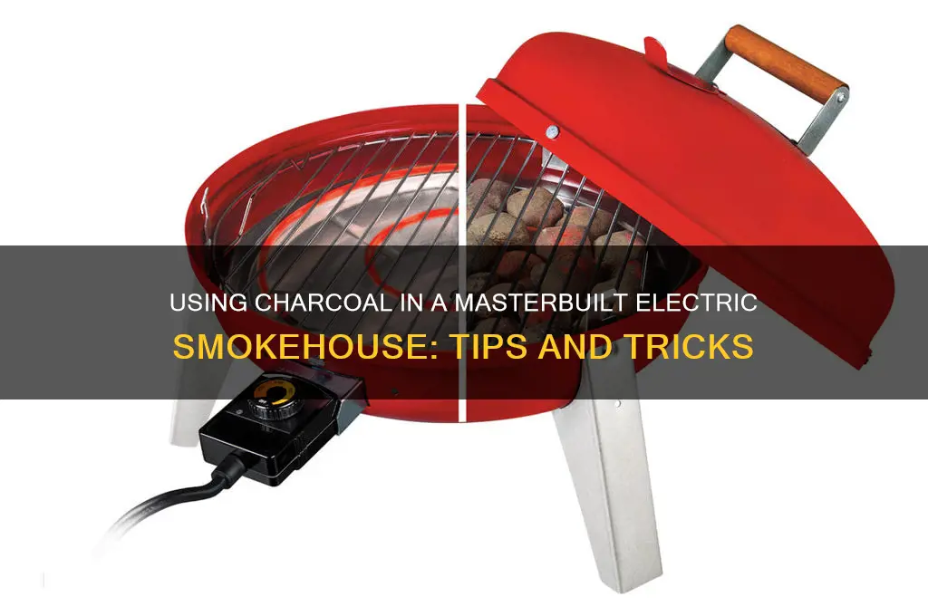 can you use charcoal and a masterbuilt electric smokehouse