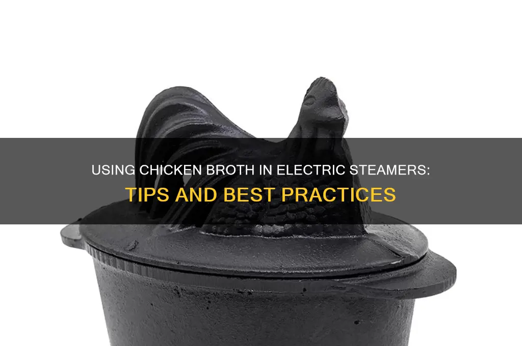 can you use chicken broth in an electric steamer