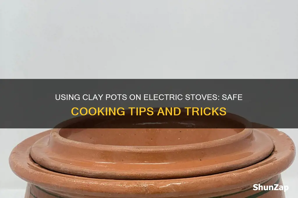 can you use clay pot on electric stove