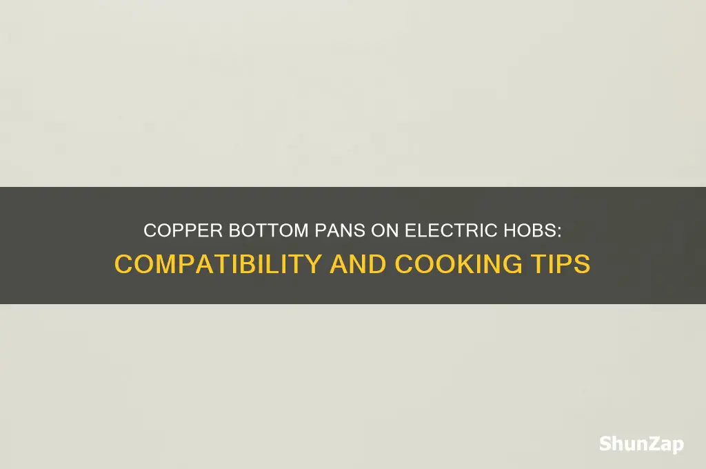 can you use copper bottom pans on an electric hob