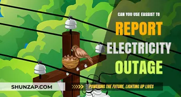 Using eAssist to Report Electricity Outages: A Quick Guide