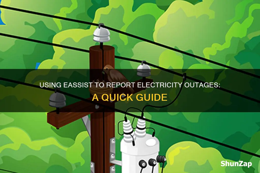 can you use eassist to report electricity outage