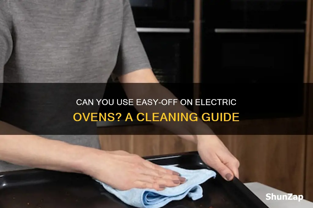 can you use easy off on electric oven