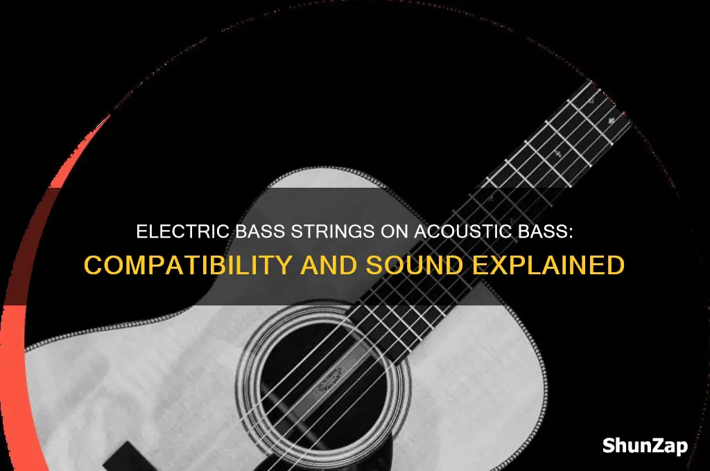 can you use electric bass strings on an acoustic bass