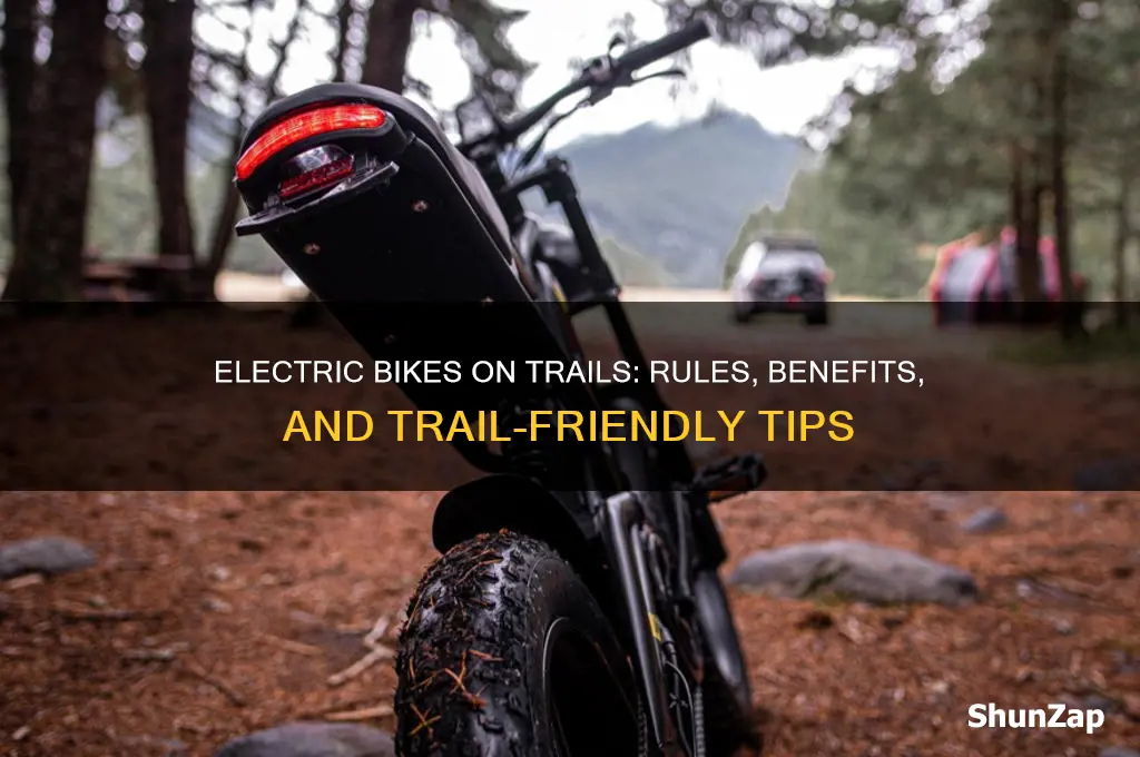can you use electric bike on bike trail
