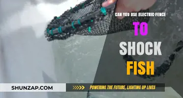 Electric Fences for Fish: Shocking Truths and Safety Concerns