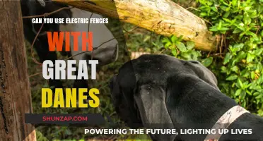 Electric Fences and Great Danes: Safe Containment Solutions for Large Breeds