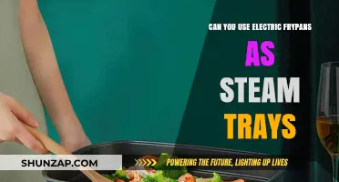 Electric Frypans as Steam Trays: Creative Kitchen Hacks Explored