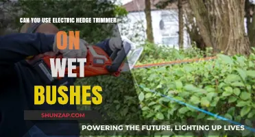 Using Electric Hedge Trimmers on Wet Bushes: Safe or Risky?
