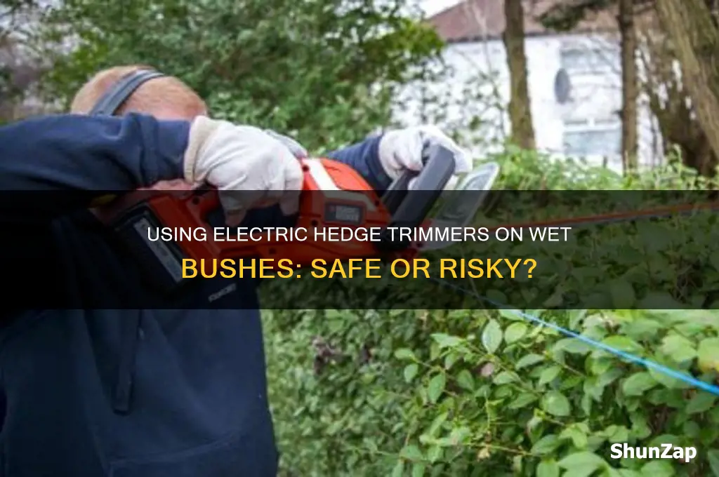 can you use electric hedge trimmer on wet bushes