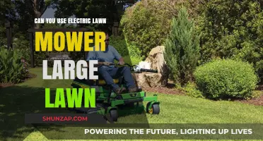 Electric Lawn Mowers: Efficient for Large Lawns or Not?