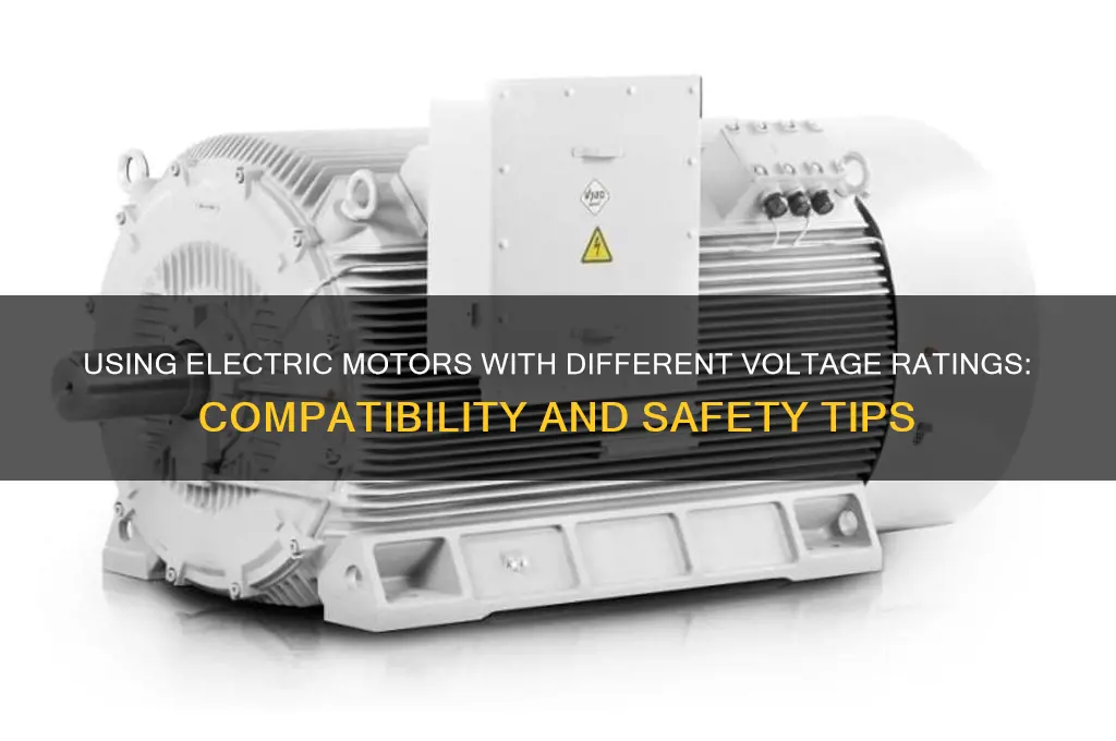 can you use electric motors with different voltage ratings