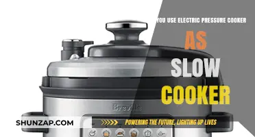Electric Pressure Cooker vs. Slow Cooker: Can One Replace the Other?
