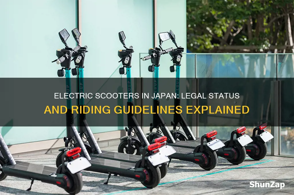 can you use electric scooters in japan
