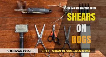 Electric Sheep Shears for Dogs: Safe Alternative or Risky Choice?