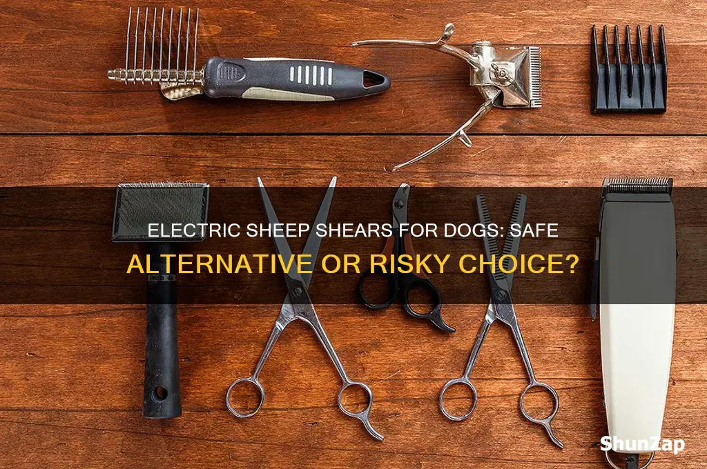 can you use electric sheep shears on dogs