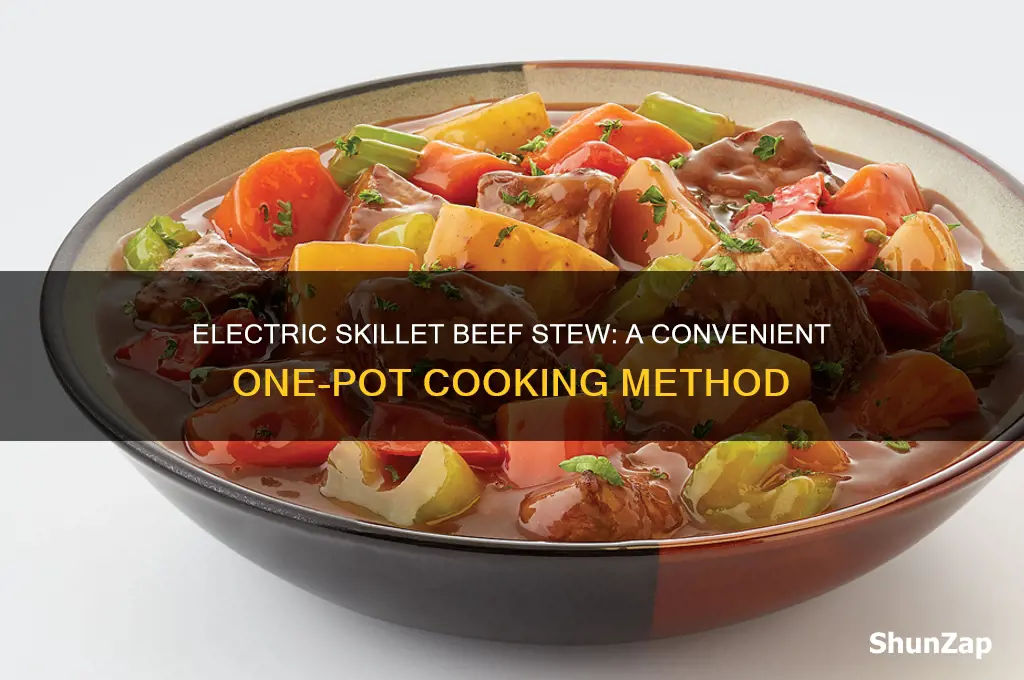 can you use electric skillet to beef stew