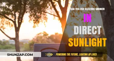 Using Electric Smokers in Direct Sunlight: Tips and Safety Guide