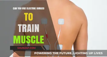 Electric Surges for Muscle Training: Fact or Fiction?