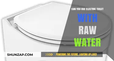 Using Electric Toilets with Raw Water: Safe or Risky?