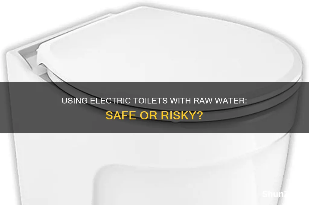 can you use electric toilet with raw water