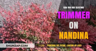 Electric Trimmer for Nandina: Effective Pruning Tips and Techniques