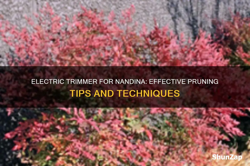 can you use electric trimmer on nandina