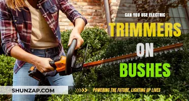 Electric Trimmers for Bushes: Effective Pruning Tool or Not?