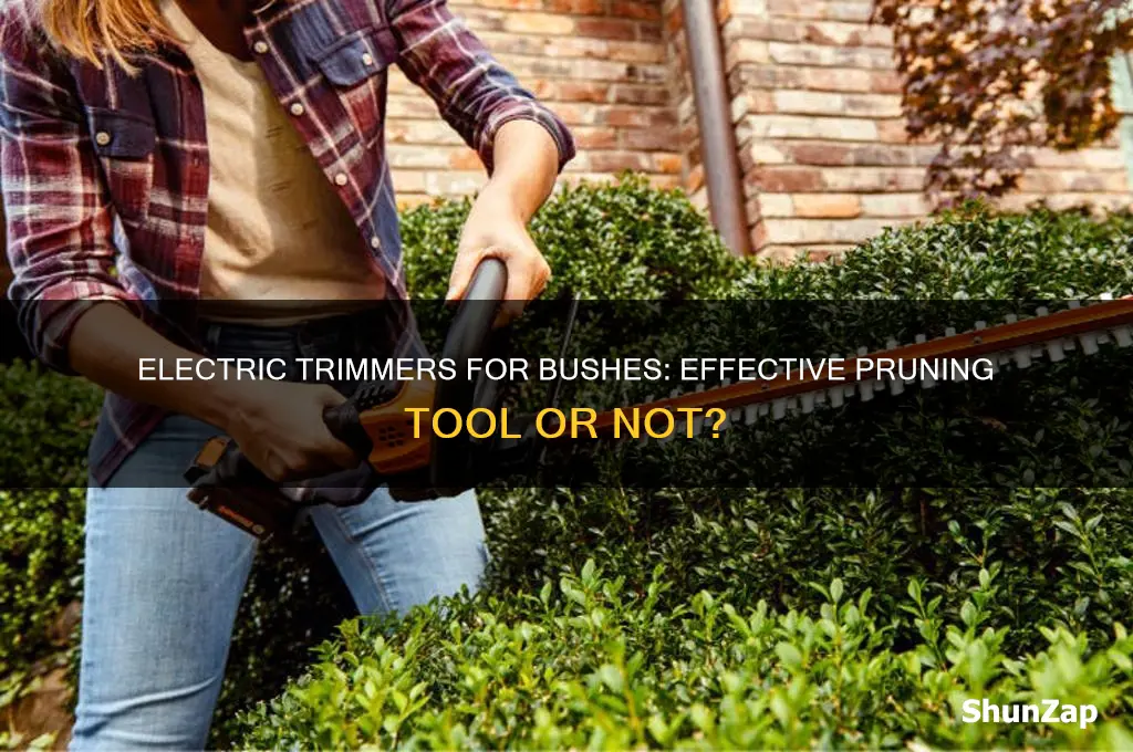 can you use electric trimmers on bushes