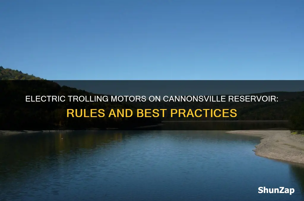 can you use electric trolling motor on cannonsville reservoir
