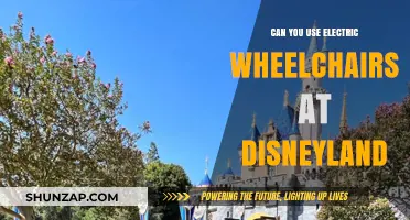 Exploring Disneyland: Electric Wheelchair Accessibility Guide for Visitors