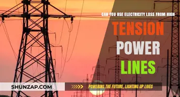 Harnessing Wasted Energy: Utilizing Electricity Loss from High-Tension Power Lines