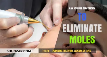 Electric Mole Removal: Safe and Effective Methods Explained